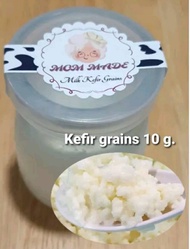 Kefir milk grains คีย์เฟอร์เกรนส์ ปริมาณ 10 กรัม ส่งพร้อมคู่มือการเลี้ยง