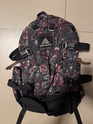Gregory 24L Backpack