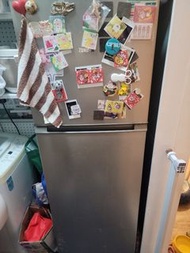 Zanussi 雪櫃