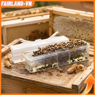 【FAIRLAND】for Beetle Trap Collection Tool: Effective Catcher