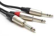 kenable 6.35mm 1/4 inch Stereo Jack Plug to Twin Mono 6.35mm 1/4 inch Jacks Audio Cable 3m (~10 feet