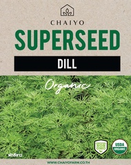 เมล็ด DILL (Organic) ผักชีลาว