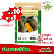 [ซื้อ10แถม1] เมล็ดพันธุ์ผัก เจียไต๋ 25฿ คอส บัตเตอร์เฮด สลัดมิกซ์ กรีนโอ๊ค แตงโม เมล่อน มะละกอ บร็อคโคลี่ กะหล่ำดอก มะเขือเทศ หน่อไม้ฝรั่ง