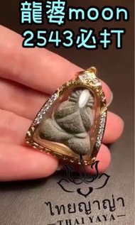 龍婆Moon必打