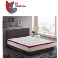 Divan Bed + 10 Inch Spring Mattress (Queen)