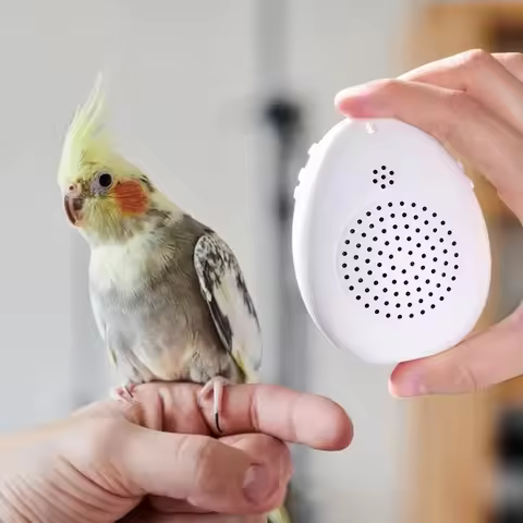 Recording Bird Learning Machine Playback Interactive Parrot Teach Talking Timer-Controlled Multi Seg