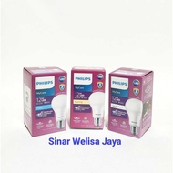 Philips LED Bulb 12W