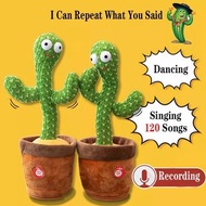 （需預訂）跳舞仙人掌發聲錄音公仔 Lovely Dancing Cactus Talking Toy USB Charging Sound Record Repeat Doll Kawaii Cact