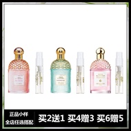 Sunshine Coconut Fragrance Long-lasting Freshness Pear Ice Shake Perfume Sample round Dance Durian L