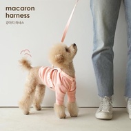 Inherent Korea Macaron Dog Harness