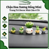 [Cheap] Mini Dragon Mist Flower Pot Car Decor, Car Decoration, Study Desk Decor, Cute Desk Decor
