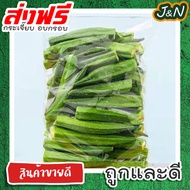 J&amp;N 🔥พร้อมส่งจากไทย🔥🥒กระเจี๊ยบอบกรอบ🥒 ขนาด 1000 กรัม สดใหม่ กรอบ อร่อย ไม่ปรุงเพิ่ม ผักอบกรอบ ขนม ผักและผลไม้อบกรอบ เจ อาหารเจ การันตรีความอร่อย ผักและผลไม้อบกรอบ [พร้อมทาน] ไม่เหม็นหืน กรอบอร่อย ผักอบพิมรี่พาย ขนมกินเล่น ราคาถูก ส่งฟรี ส่งเร็ว ขนม