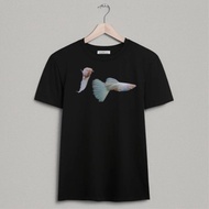 Guppy Albino Full Platinum / AFP