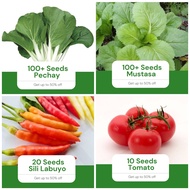 Sale All in 4 in 1 Pack Seeds (Pechay, Mustasa, Sili, Kamatis) Vegetable Garden Pot Outdoor Plant