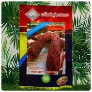 Paket 200g SWEET PURPLE CORN F1 HYBRID Biji Benih Jagung Manis Ungu Bukan Pulut Non Waxy Seeds Cap C