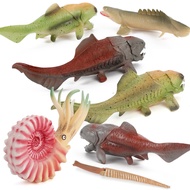 Cross-Border Amazon Simulation Marine Ancient Creature Model Parrot Screw Ammonite Dun's Fish Decora
