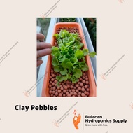 ﺴHydroton Tiny Clay Pebbles - 2Kg