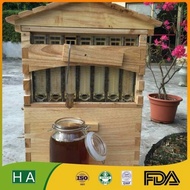 Promo Flow hive bee honey promo Full set tipe 1