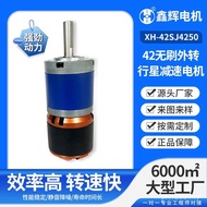 DC Micro Brushless Adjustable Speed Square Silent External Turn Motor Air Pump 4250 Motor 42SJ Facto