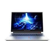 MACHENIKE Light 15 電競手提電腦 (Intel Core i7-13650HX / RTX 5060 / 16GB DDR5 5600MHz / 灰色)(NB-ML5G1K)