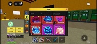 Blox Fruit 果實 