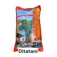 Benih Bibit Jagung Super Hibrida BISI 18 BERAT 5KG