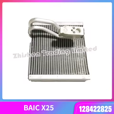 For BAIC Senova X25 Air Conditioner Evaporator Box Core with Expansion Valve 128422825