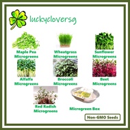 Microgreen Seeds / Tray - Maple Pea / Wheatgrass / Sunflower / Alfalfa / Broccoli / Beet / Red Radish