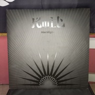 Blacklight (2LP) Vinyl Record