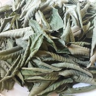 Dried Guava Leaves | Herbal Leaves