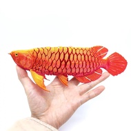Ikan arwana emas tiga dimensi cetakan 3D, hiasan ikan Cina yang popular dalam talian, model ikan mai