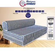 Mattress Genius Mimo Queen Foam Mattress Foldable Mattress Thick 6 Inch / 2 Seater Sofa Bed (Blue/Red/Green Stripe)