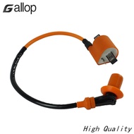 Gallop1 Racing Performance Ignition Coil For125-250cc Engine High Pressure Coil Atv Cg125 Motorcycle