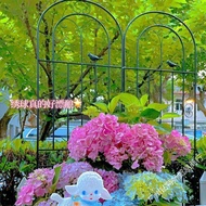 ST&amp;💘Lattice Clematis Chinese Rose Lattice Rose Plant Climbing Garden Iron Fence Planting Flower Bracket 57ZG