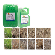 【100% ORI】ECOMAX roundup weed killer Glyphosate 41% racun rumput racun lalang ecomax roundup racun r