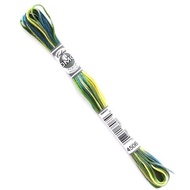 DMC Art 517 Coloris Gradation Embroidery Thread - 4506 - Spring