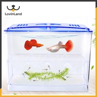 Lovinland Pet Incubation + Rearing Aquarium Tank Fish Betta Incubator Small Betta Mini Isolation Box