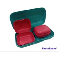 Tupperware oyster(3)