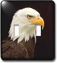 3dRose (lsp_258644_2) Double Toggle Switch USA, Alaska. Regal bald eagle portrait