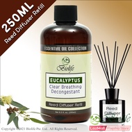 Biolife Eucalyptus Essential Oil Aromatherapy Reed Diffuser Refill, Long Lasting Scent (250ml Reed-Diffuser Refill)