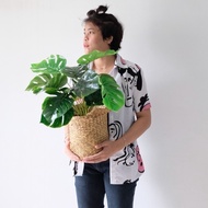 tanaman plastik monstera