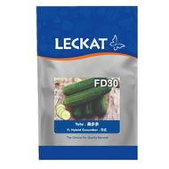 Benih Timun Toto FD30 F1 Hybrid Cucumber Leckat - ( 100g ) 👍 💯