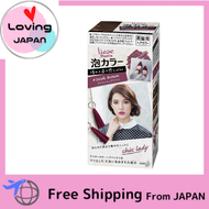 Liese Hair Coloring Pretty Foam Color Irish Brown Directly from Japan