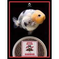 🇯🇵 Otohime EP-1 -1.7mm🇯🇵EP-2 -2.3mm 700G Original Imported From Japan 🇯🇵Discus Goldfish Fish Food 金鱼