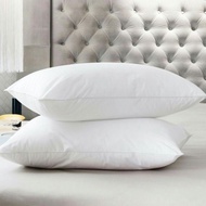 Pillow insert 50x70cm