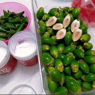 Hainan Raw Betel Nut Fresh Fruit Industry with Good Guy Leaf Shell Shell Powder Delivery Betelang Fr