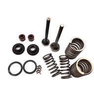 Valve Assembly 69 mm Intake Exhaust Stem Shaft for Gy6 Scooter Moped 139QMB 139QMB 139QMA 50cc 60cc 