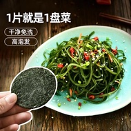 (现货) 0脂海带丝真空压缩干海带丝Dried Seaweed Strips / Dried Cut Wakame 16g