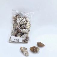 Natural Paleo Biological Shark Teeth Clover Shell Stone Swallow Ammonite Conch Rough Stone Geologica