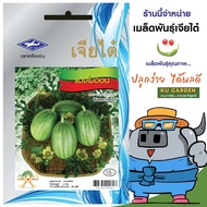 CHIATAI 🇹🇭 ผักซอง เจียไต๋ แตงโมอ่อน O067 ประมาณ 40 เมล็ด เมล็ดพันธุ์ผัก แตงโม เมล็ดผัก เมล็ดพืช ผักสวนครัว